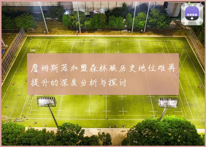 詹姆斯若加盟森林狼历史地位难再提升的深度分析与探讨
